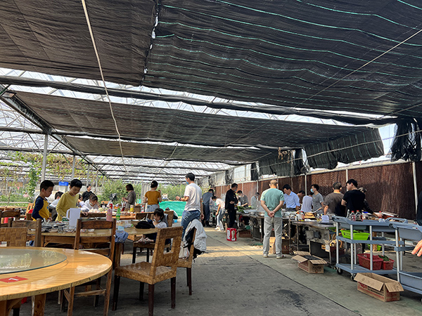 公司團建 (1)